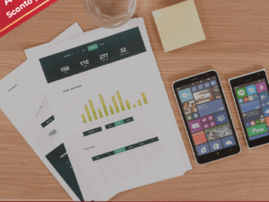 IL MODELLO D’IMPRESA : ORGANIZZAZIONI ESPONENZIALI A PROVA DI FUTURO