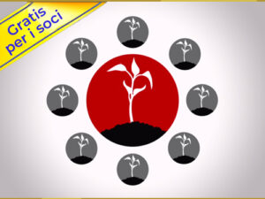 INIZIATIVA E IMPRENDITORIALITA' : THE FOUNDER MENTALITY