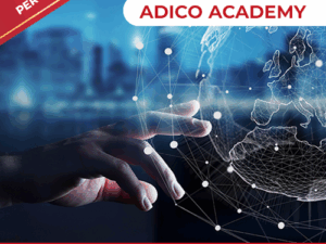 IL DIGITALE PER VENDERE DI PIU' E  MEGLIO : come migliorare i risultati di vendita con Internet