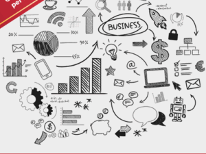 STRATEGIE DI VENDITA AVANZATE : GUIDA ALLA CREAZIONE DI RETI COMPETITIVE