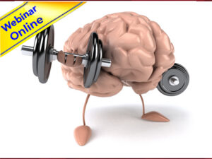 GESTIONE E ANALISI DELLE INFORMAZIONI : IL CERVELLO INFORMATIVO IN AZIONE