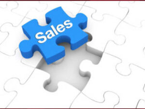 IL GIOCO DELLA VENDITA :UN METODO INNOVATIVO E VINCENTE PER MIGLIORARE LE TUE PERFORMANCE DI VENDITA