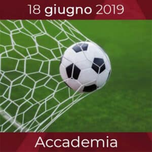 IL MIO TEAM FA GOAL